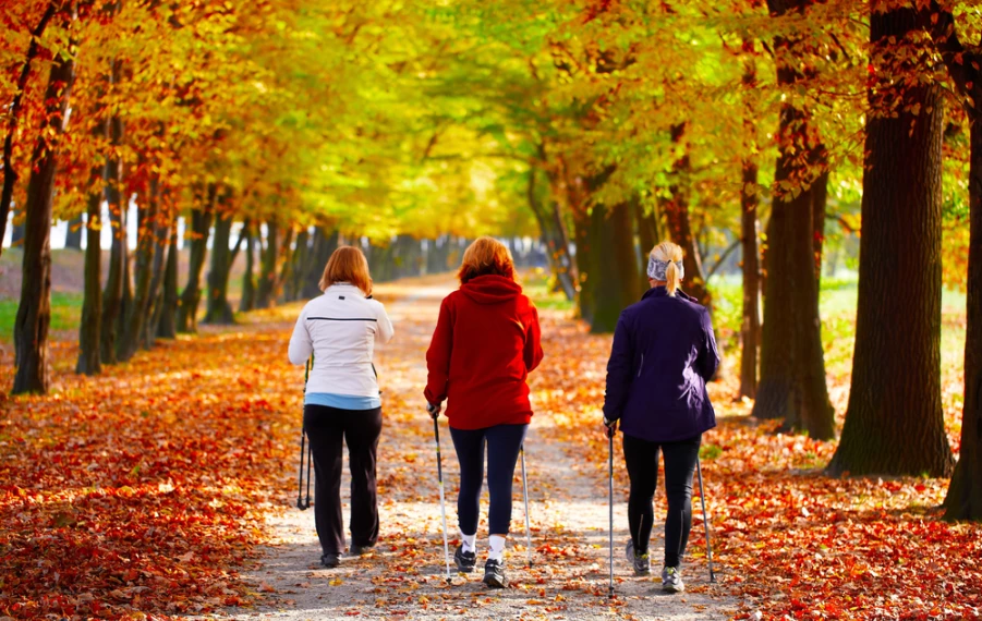 nordic walking na jeseň