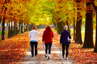 Nordic Walking na jeseň: Objavte 5 dôvodov, prečo to skúsiť hneď teraz!