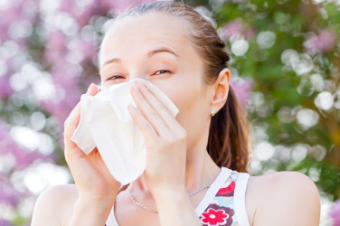 Alergia na peľ a jej príznaky – ktoré rastliny spôsobujú ťažkosti v konkrétnych obdobiach?