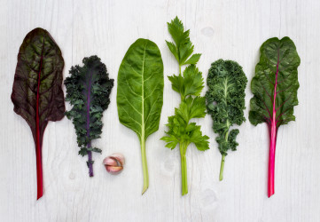 Povieme ti, aké vitamíny obsahuje zelená listová zelenina