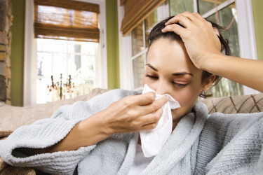 Keď vám choroba klope na dvere, vyzbrojte sa voči nej najsilnejšími prírodnými antibiotikami