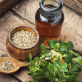 Oregano nielen ako korenina – spoznaj účinky oreganového oleja!