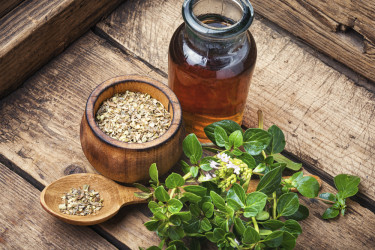 Oregano nielen ako korenina – spoznaj účinky oreganového oleja!