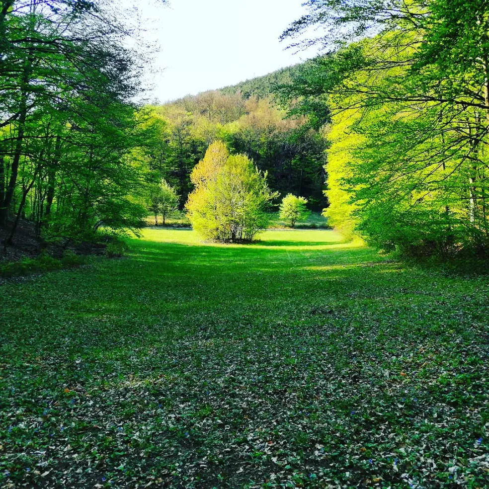 Slovenská príroda