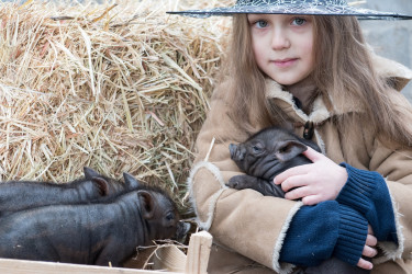 Tip na rodinný výlet: Minifarma Lubina so zvieratami na dosah ruky