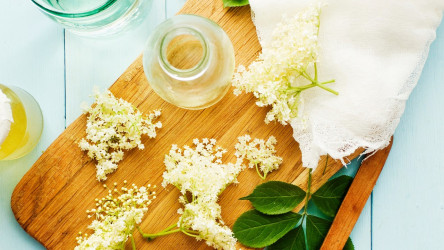 Bazový ocot: Recept, účinky a využitie liečivého zázraku z bazy
