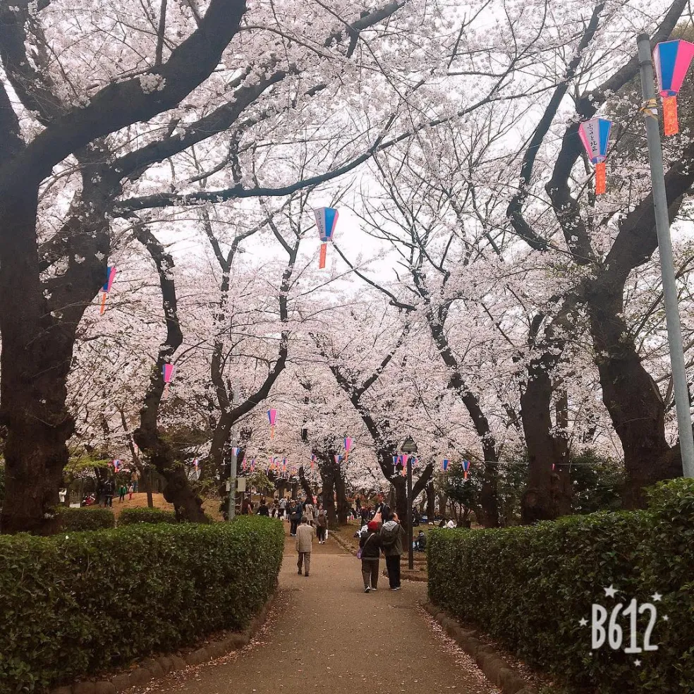 Asukayama Park