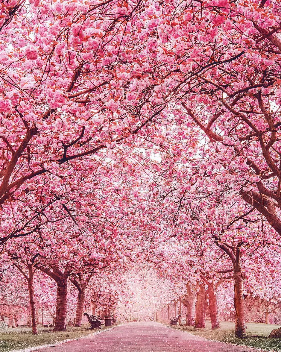 Greenwich Park, Londýn