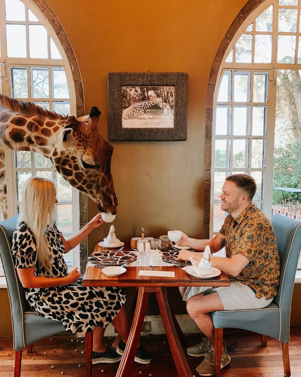Giraffe Manor