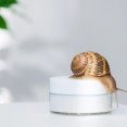Trend alebo prešľap? Živočíšne ingrediencie v skincare pod mikroskopom