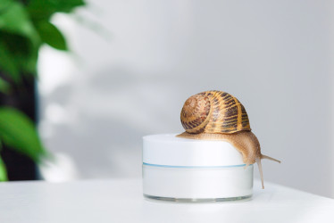 Trend alebo prešľap? Živočíšne ingrediencie v skincare pod mikroskopom
