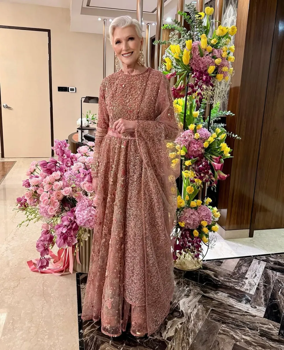 Maye Musk kariéra