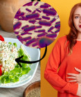 Salmonelóza: Ako ju spoznať, liečiť a hlavne jej predchádzať?