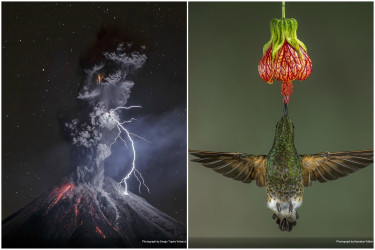 Najkrajšie fotografie podľa National Geographic: Kto zvíťazil?