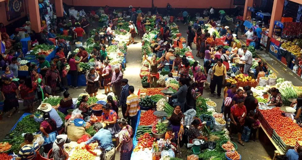 Chichicastenagro