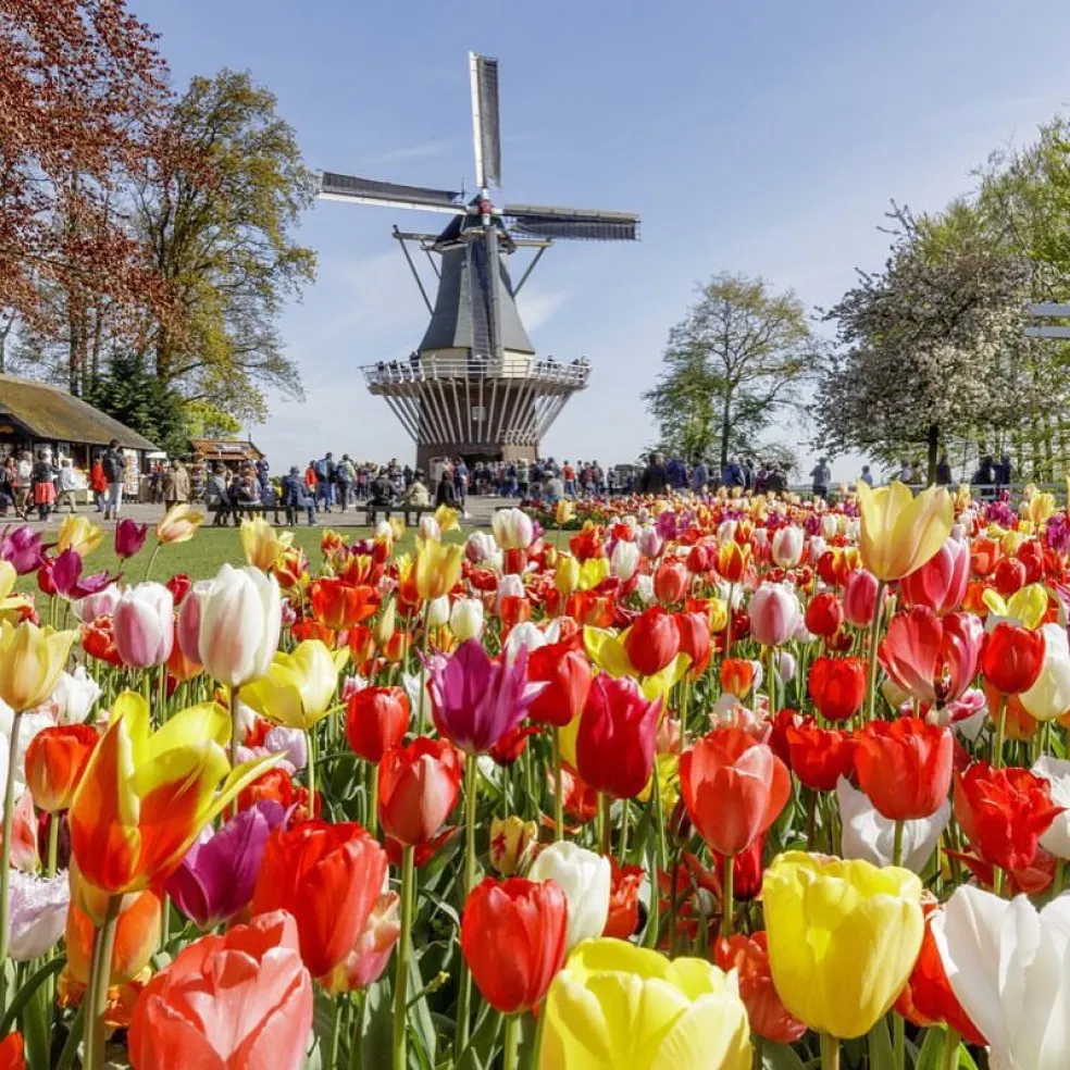 Keukenhof Gardens