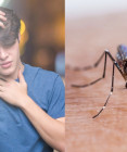 Horúčka Dengue: V ktorých krajinách a ako sa môžeme nakaziť týmto ochorením?