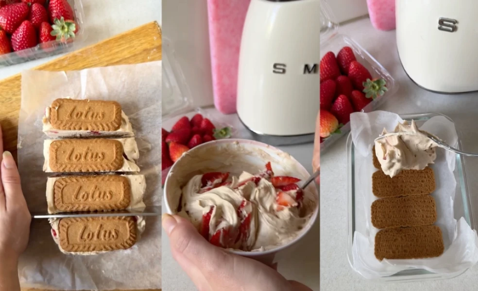 domáca proteínová Lotus zmrzlina