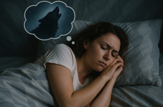 Objavil sa v tvojom sne vlk? Bol vo svorke či osamelý? Akú mal farbu?