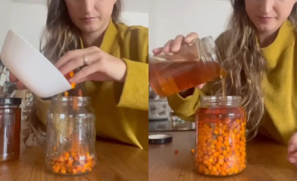recept s rakytníkom