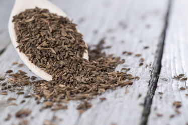 Rasca – možno obyčajná, ale účinná! Ako ju využiť pre zdravie?