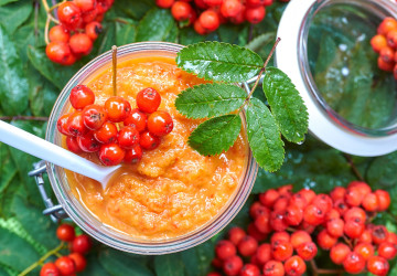 Jarabina vtáčia: Skús tento netradičný recept na výživu z jarabiny!