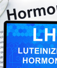Luteinizačný hormón v ženskom tele – čo spôsobuje jeho nízka alebo vysoká hladina?