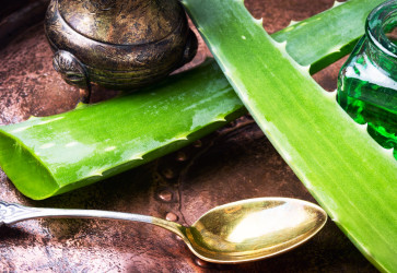 7 tipov, ako využiť Aloe vera pre krásu: Prečo ich vyskúšať?