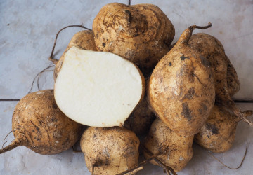 Jicama: Očarí ťa nielen lahodnou chuťou, ale najmä schopnosťami
