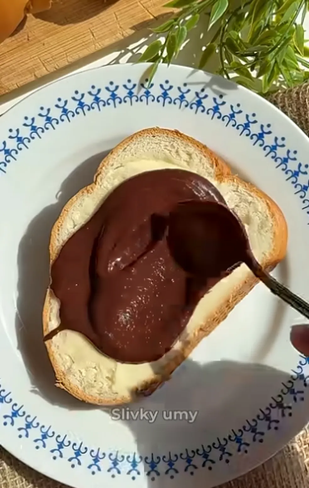 nutella zo sliviek