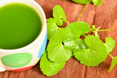 Pupkovník ázijský alebo Gotu kola: Čo dokáže tento zázrak?