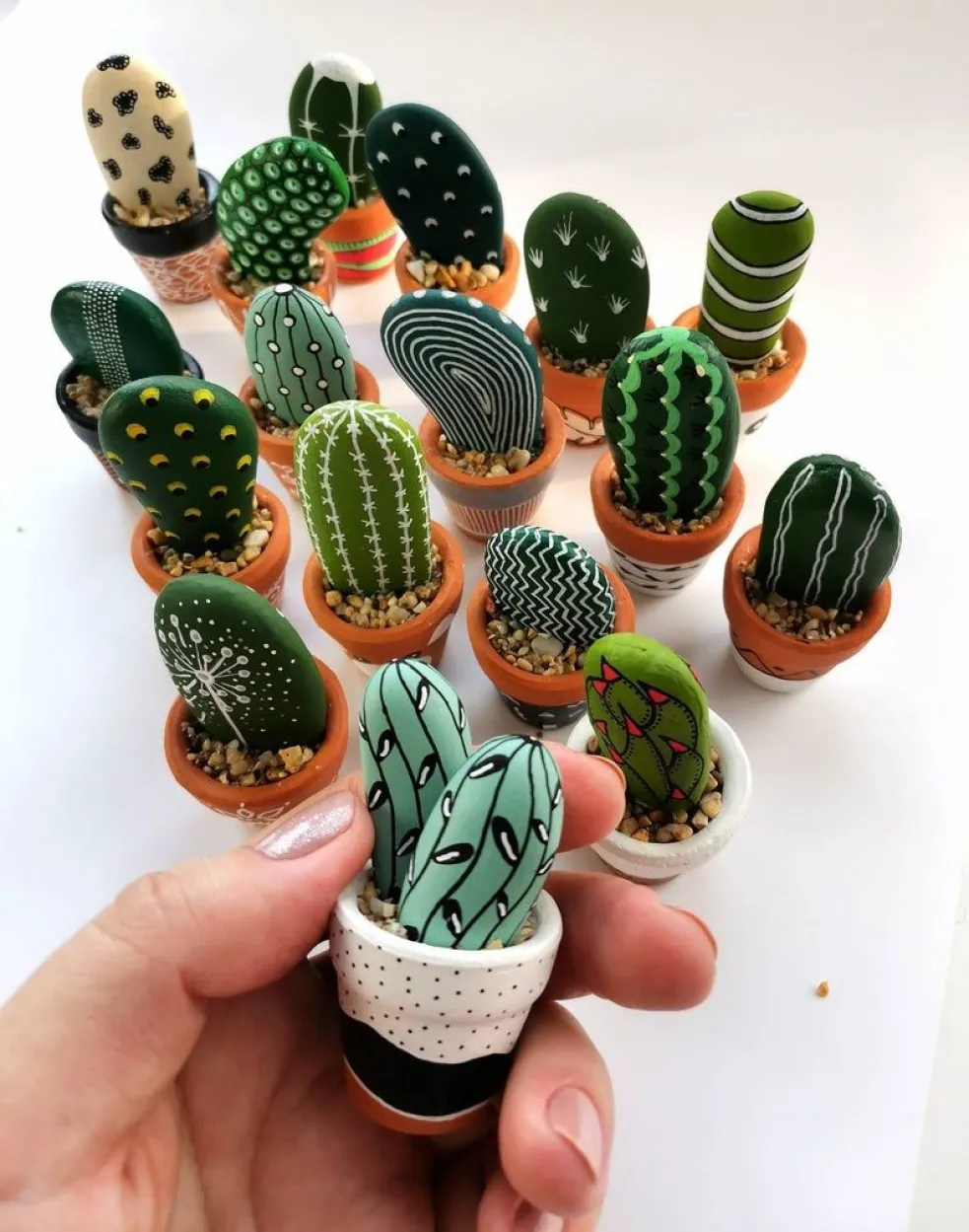 DIY kaktusy
