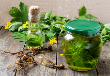 Čo sú adaptogény? Aký majú vplyv na naše zdravie? Toto ťa dostane!