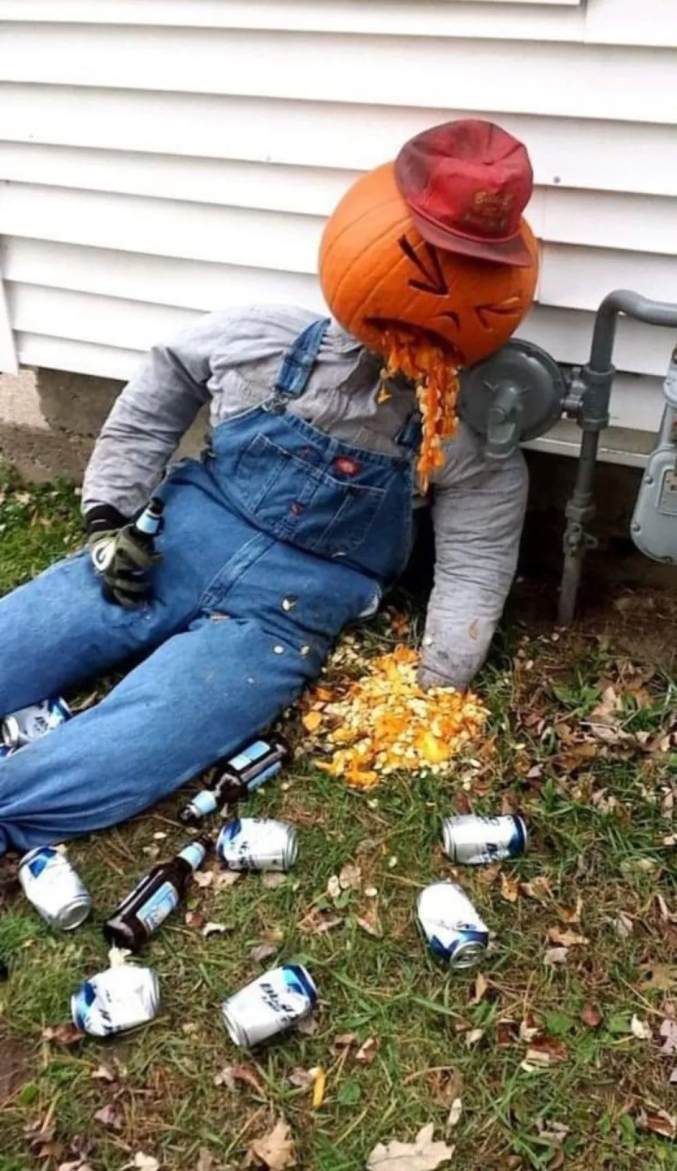 strašiak do záhrady