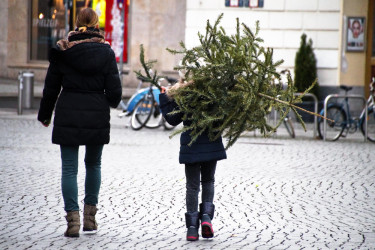 Kedy odzdobiť vianočný stromček? Na Troch kráľov alebo v iný deň?