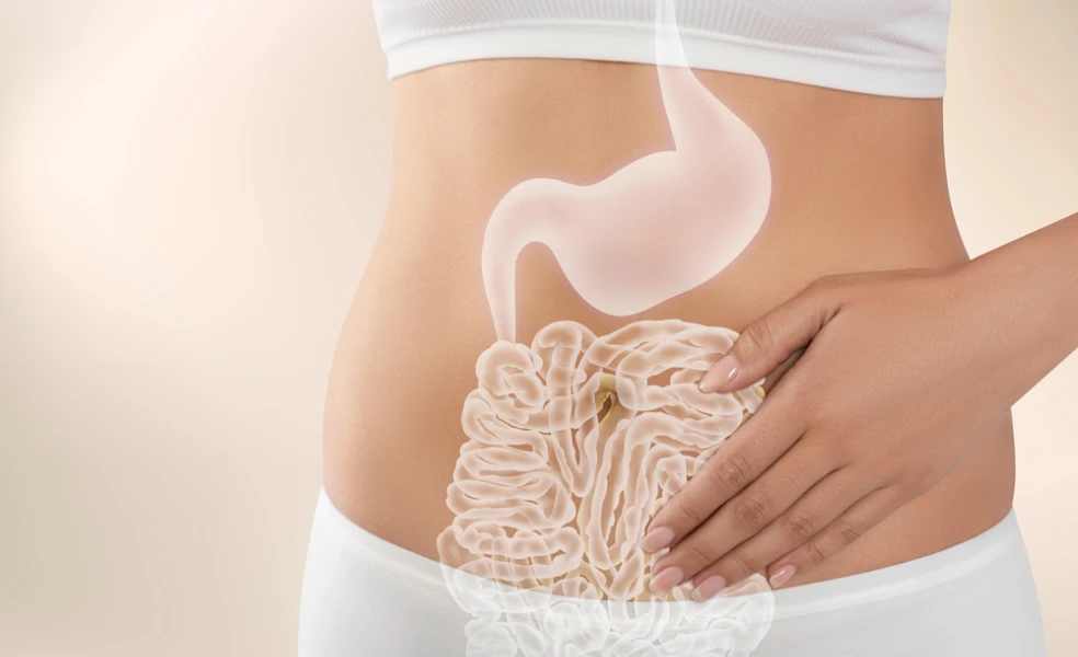 črevný mikrobióm a psychika