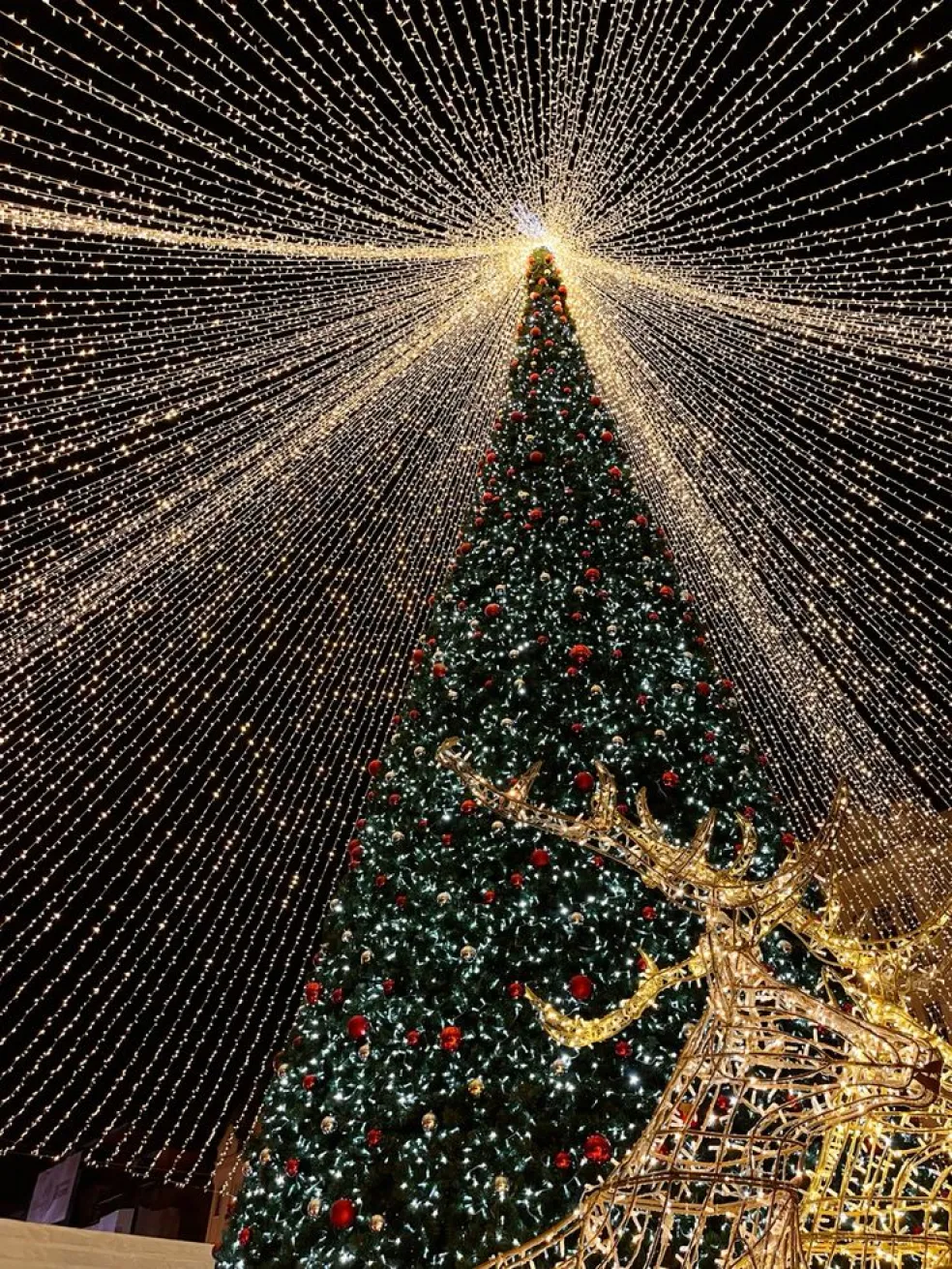 vianočné trhy 2025