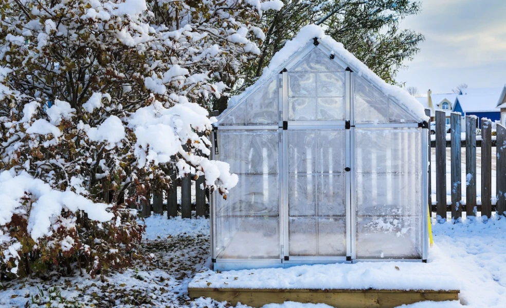 Ako zazimovať skleník a udržať rastliny v teple počas zimy