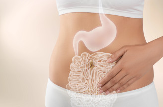 Cítite úzkosť alebo únavu? Problém nemusí byť v hlave, ale v črevnom mikrobióme