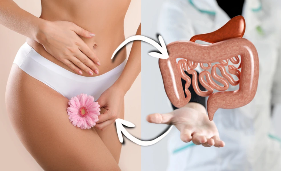 prepojenie medzi vaginálnym a črevným mikrobiómom