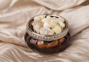 Kadidlovník pravý: Prečo sa kedysi vyvažoval zlatom a ako je to dnes?