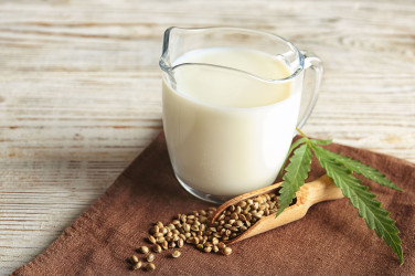 Vieš, aké účinky má konopné mlieko? Priprav si ho v pohodlí domova!