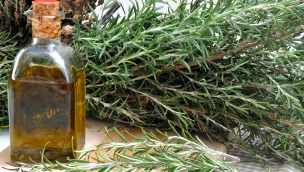 Prečo si doma vyrobiť rozmarínový ocot? Možnosti jeho využitia ťa dostanú!