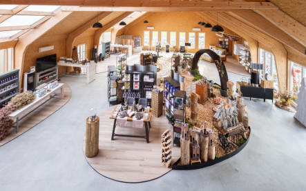 Interiér Longevity & Wellbeing predajne Molecules of Life v Levanduľovom údolí s prírodným dizajnom