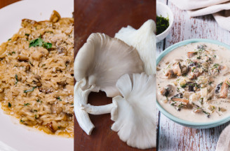 Hliva ustricová v kuchyni: Tipy na skvelé recepty z hlivy