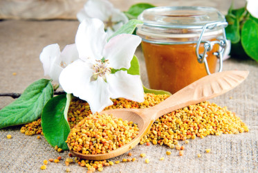 Včelí peľ - liek pre rôzne problémy