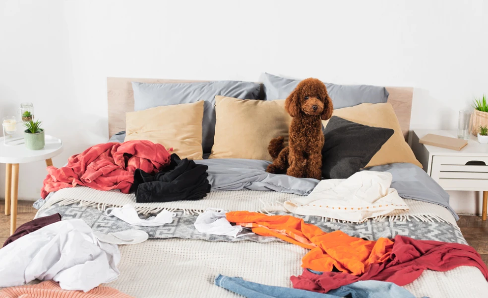 stresujúce veci v spálni