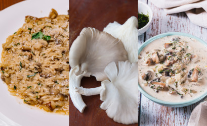 Hliva ustricová v kuchyni: Tipy na skvelé recepty z hlivy