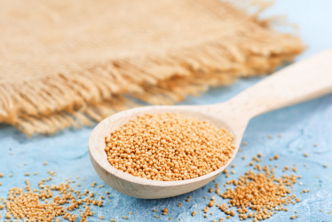 Horčičné semienka: Pomocník v kuchyni aj pri zdravotných problémoch!