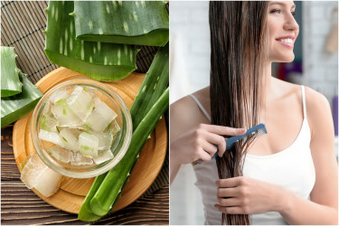TOP domáce masky na vlasy z Aloe vera: Ktorú z nich si zamiluješ?